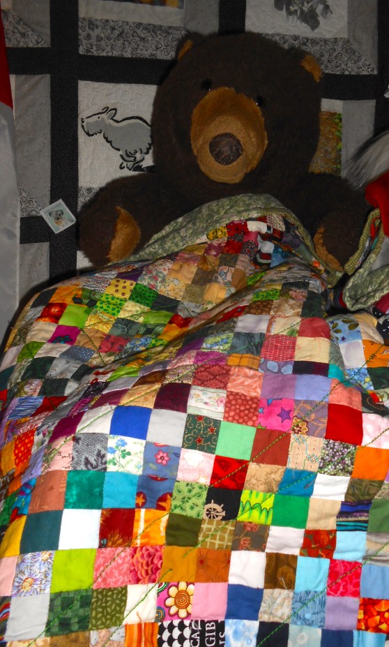 my old beloved bear Felix and his 