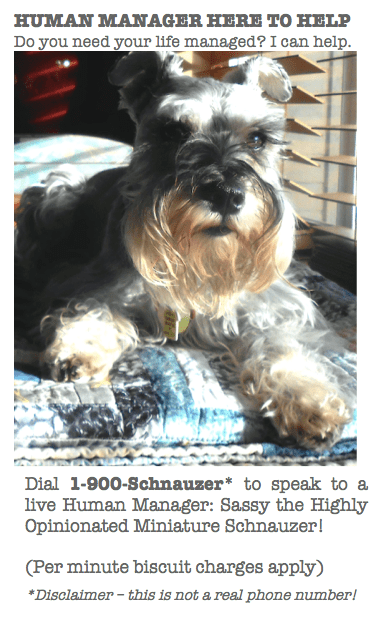 Screen Shot 2016-06-22 at 8.58.52 AM