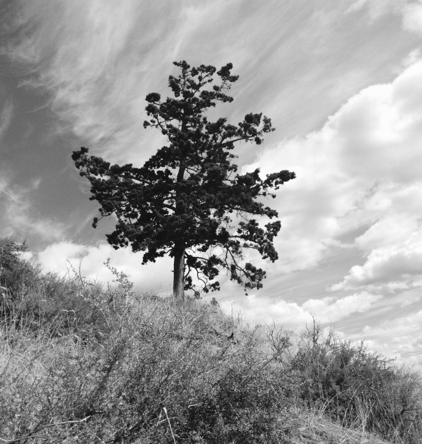 2016-09-02_185754994_8807E_iOS