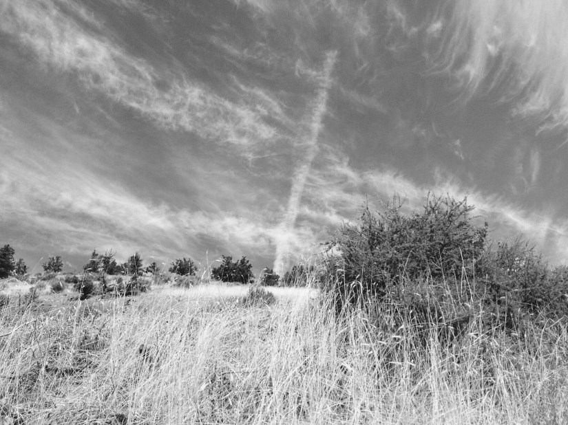 2016-09-02_185820240_D0490_iOS