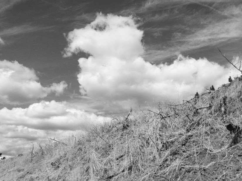 2016-09-02_185827585_EC7A0_iOS