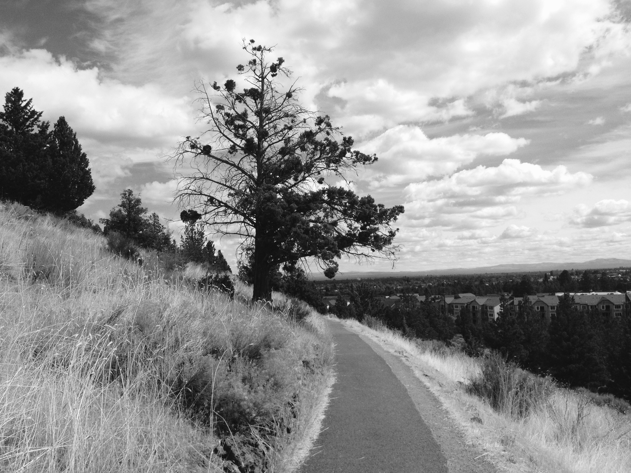 2016-09-02_190007329_A1FD7_iOS   (2016-09-05T00_04_37.866)