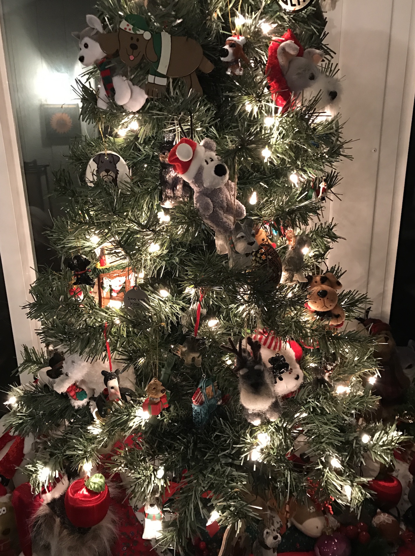 2016-12-22_20-16-38_503