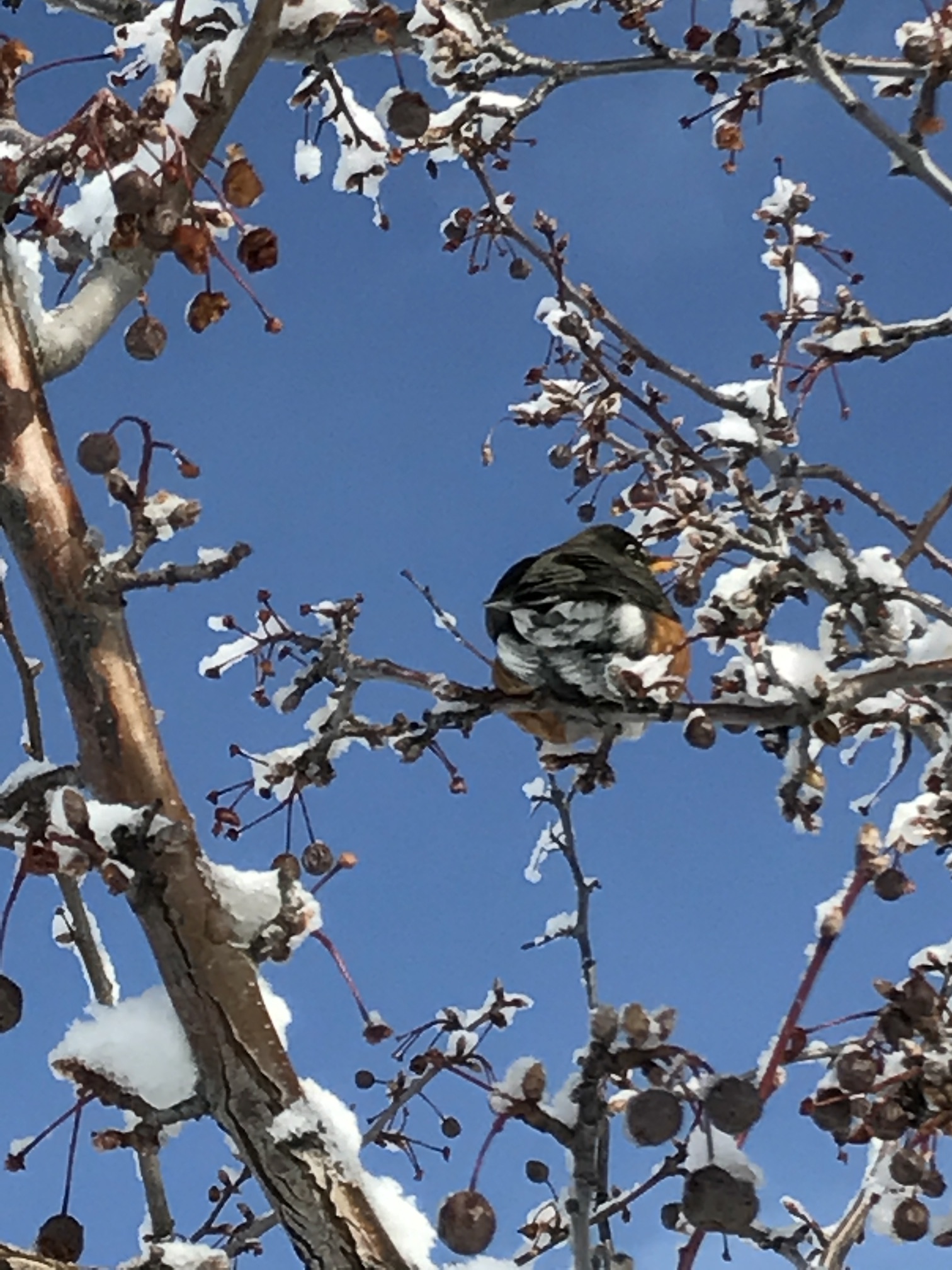 2017-01-11_10-53-30_619