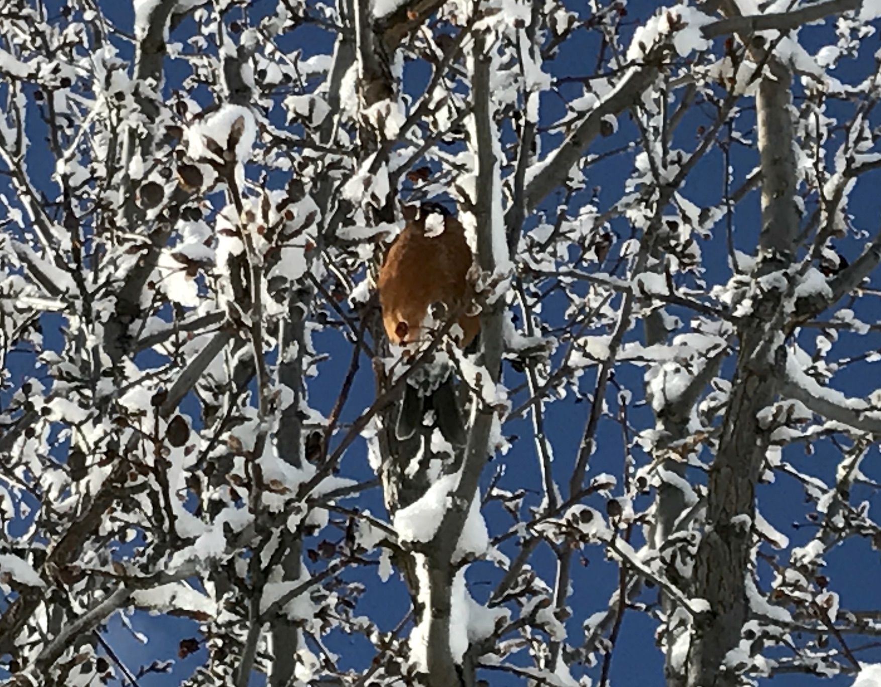 2017-01-11_10-54-51_633