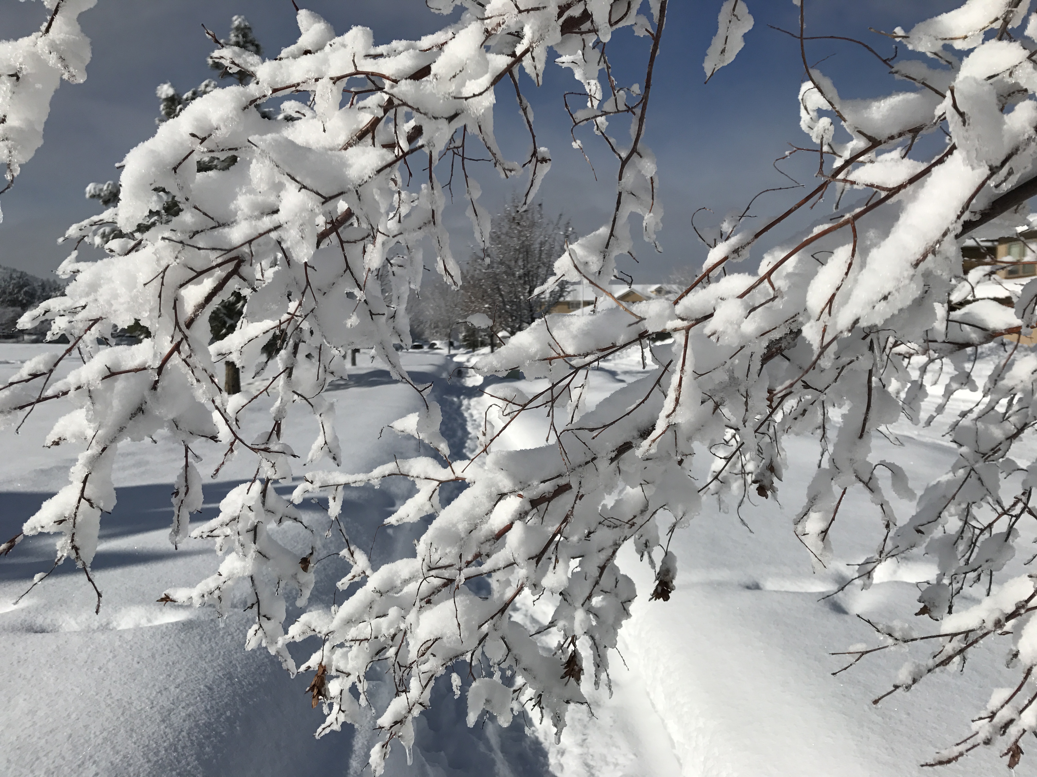 2017-01-11_10-55-34_039