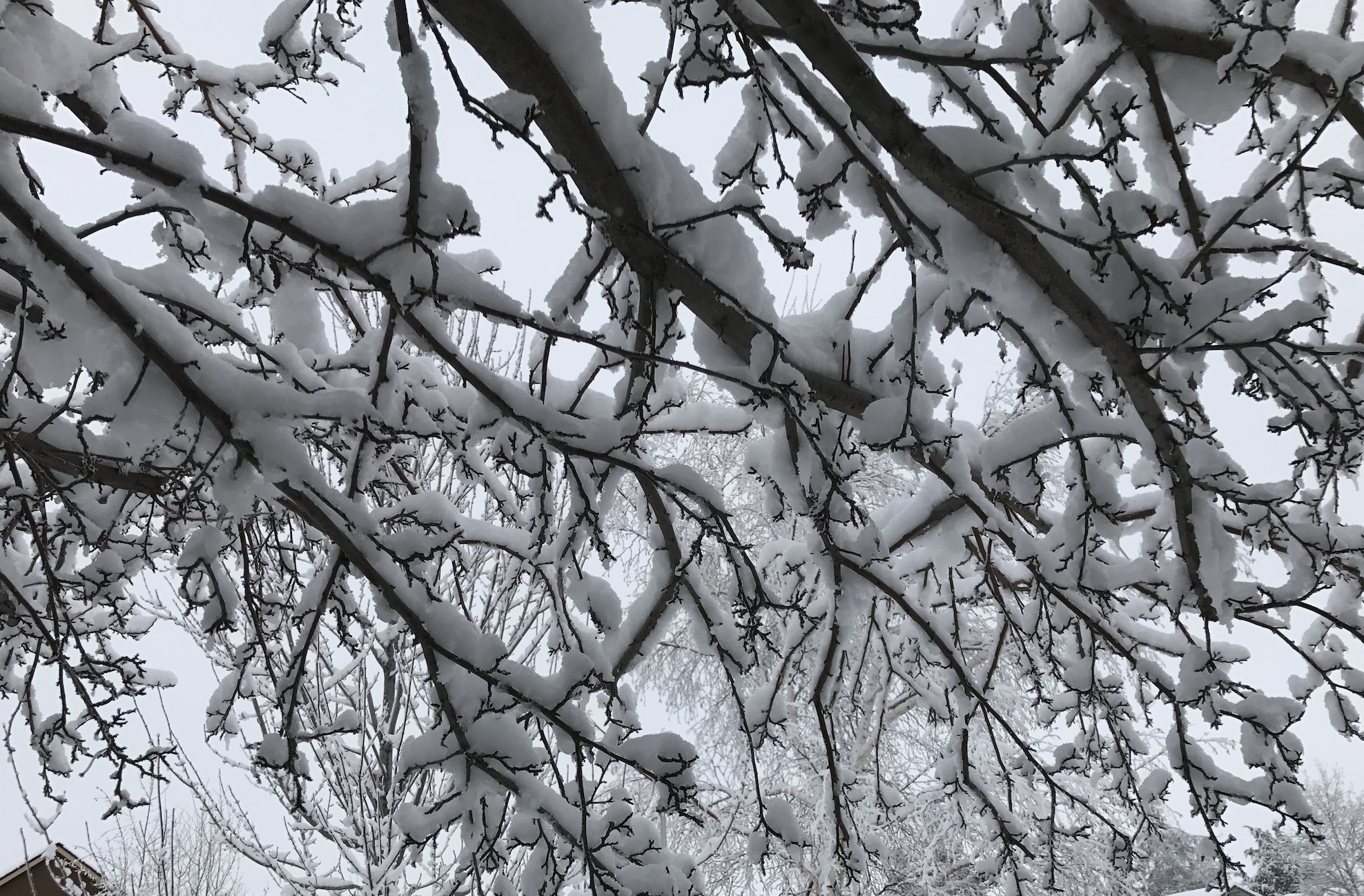 2017-01-12_11-23-55_572