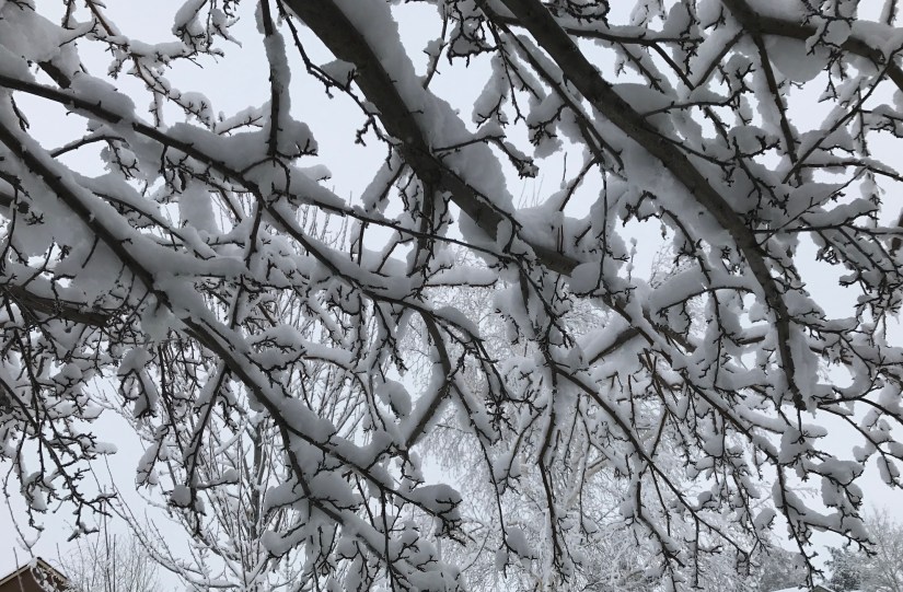 2017-01-12_11-23-55_572