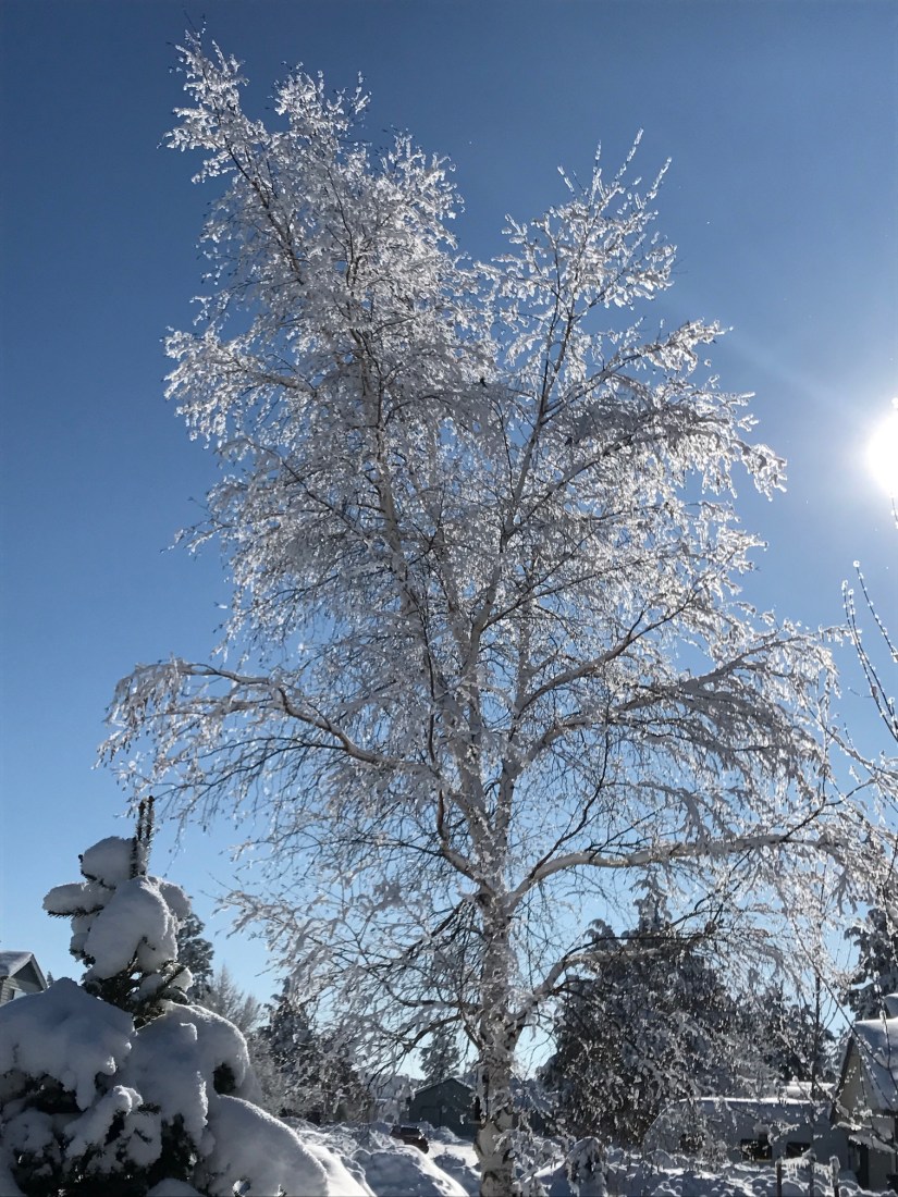 2017-01-14_12-55-50_459