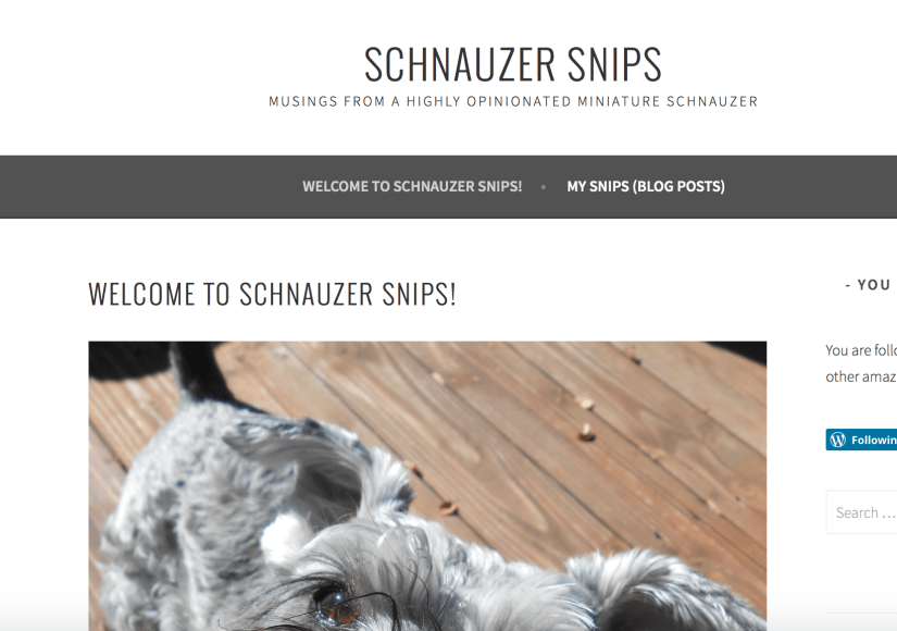 Screen Shot 2017-01-02 at 10.23.53 PM.png