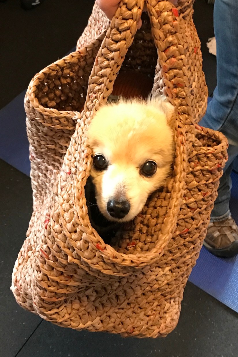 2017-03-16_14-29-51_446