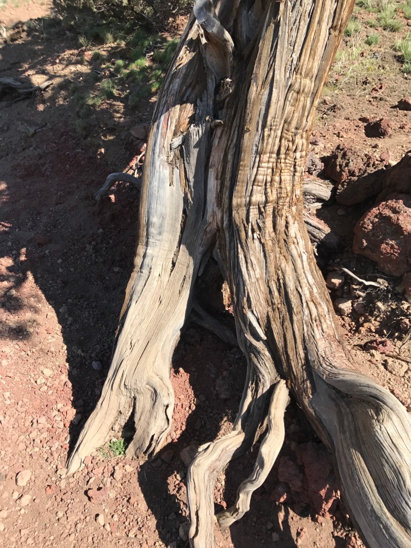 2017-04-03_11-59-44_178