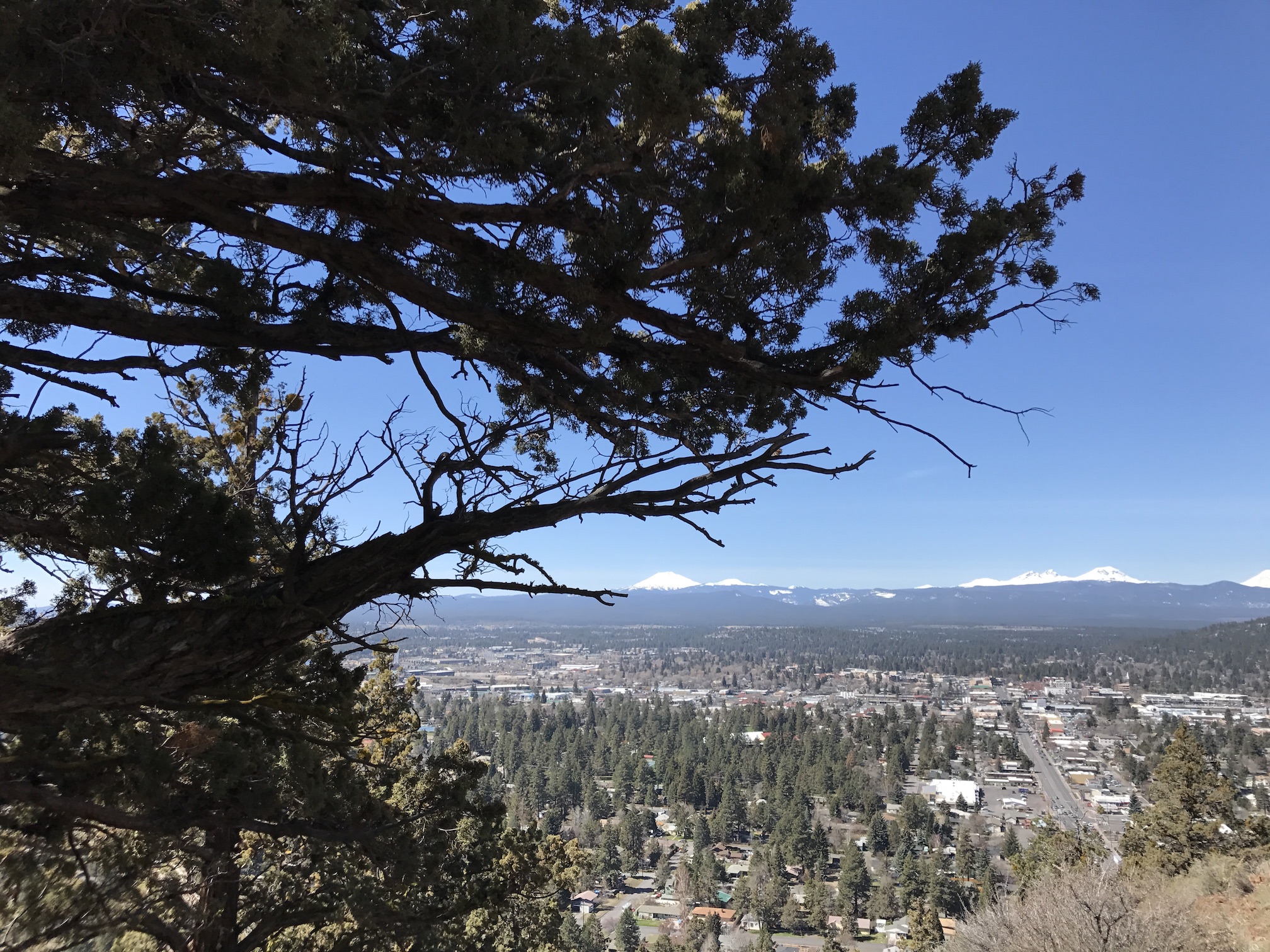 2017-04-03_12-00-58_213