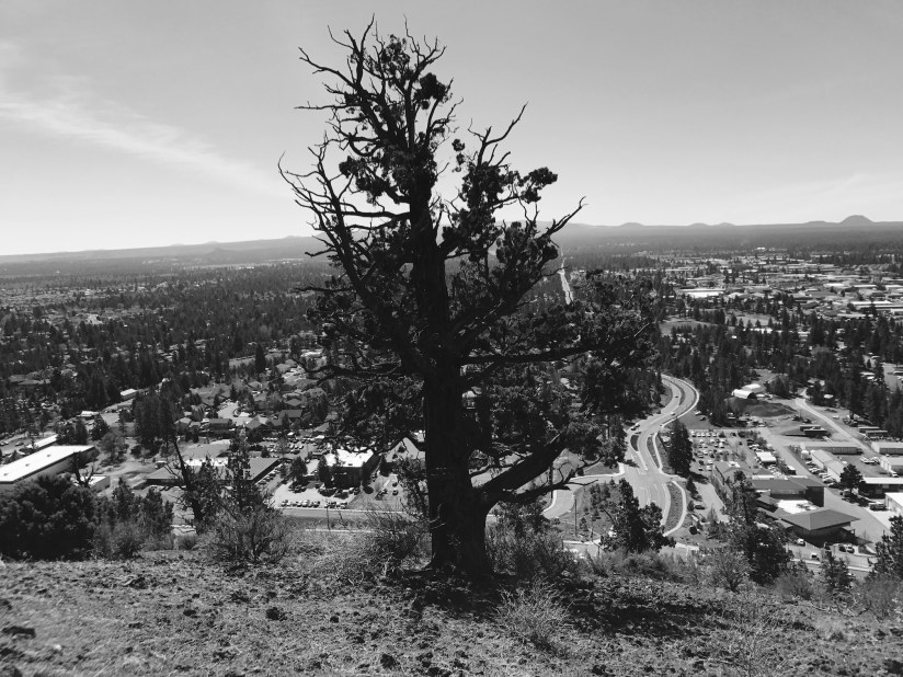 2017-04-03_12-02-45_876