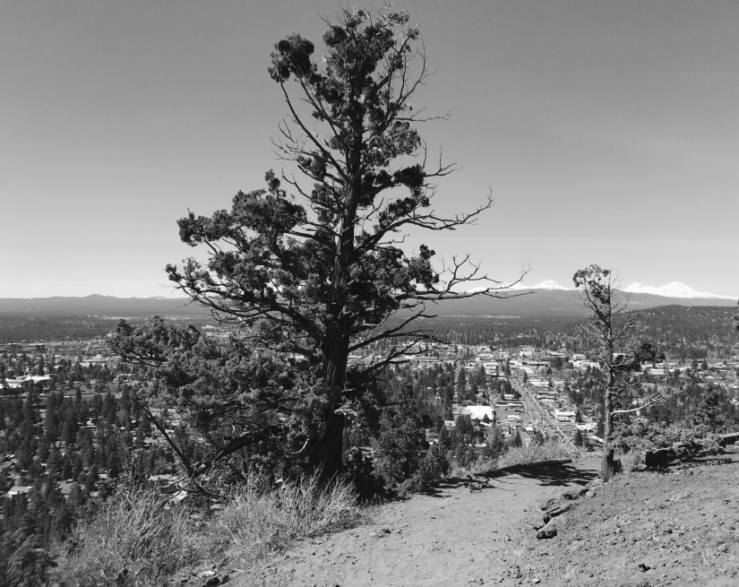 2017-04-03_12-02-49_546