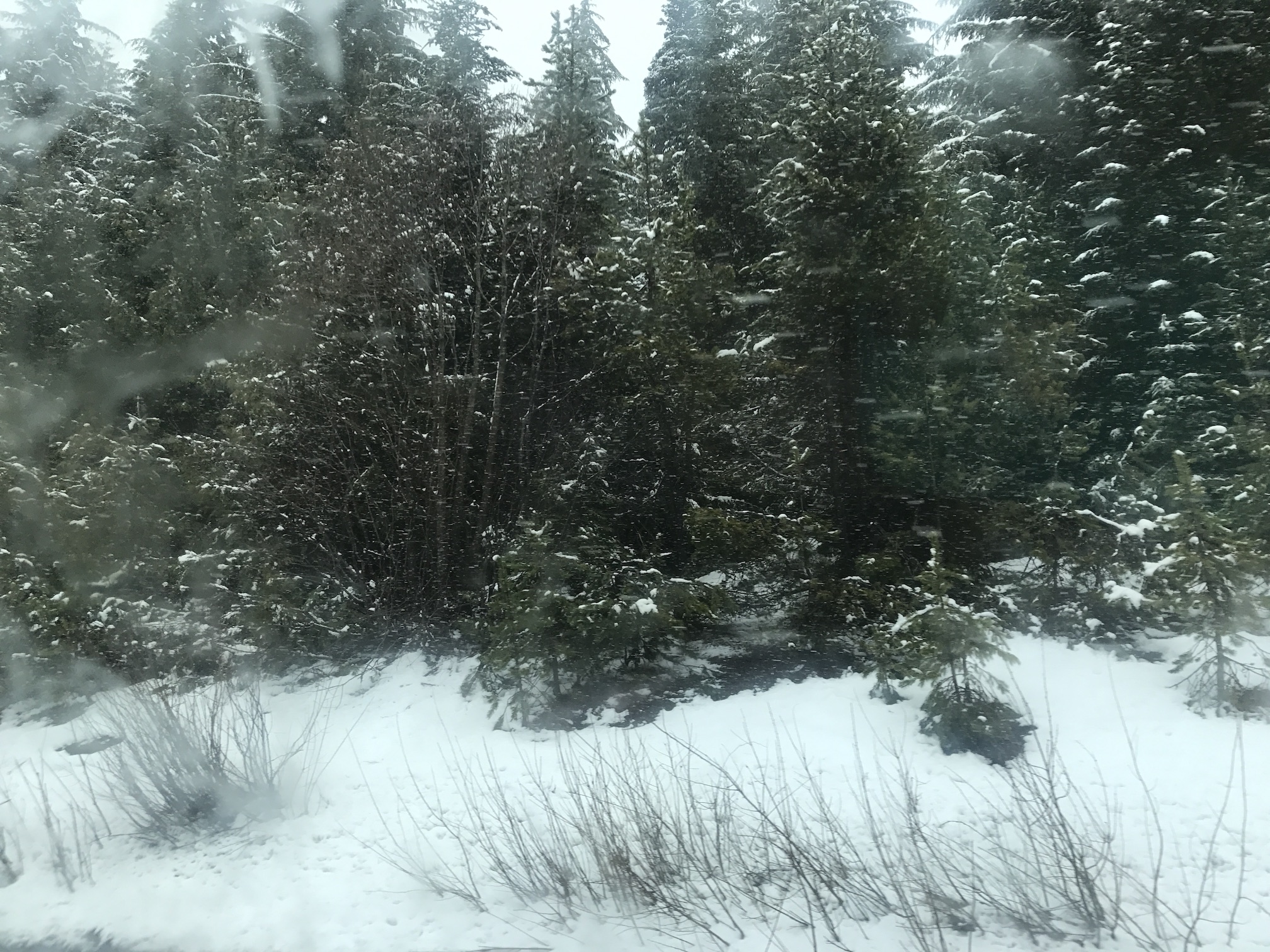 2017-04-26_11-58-51_442