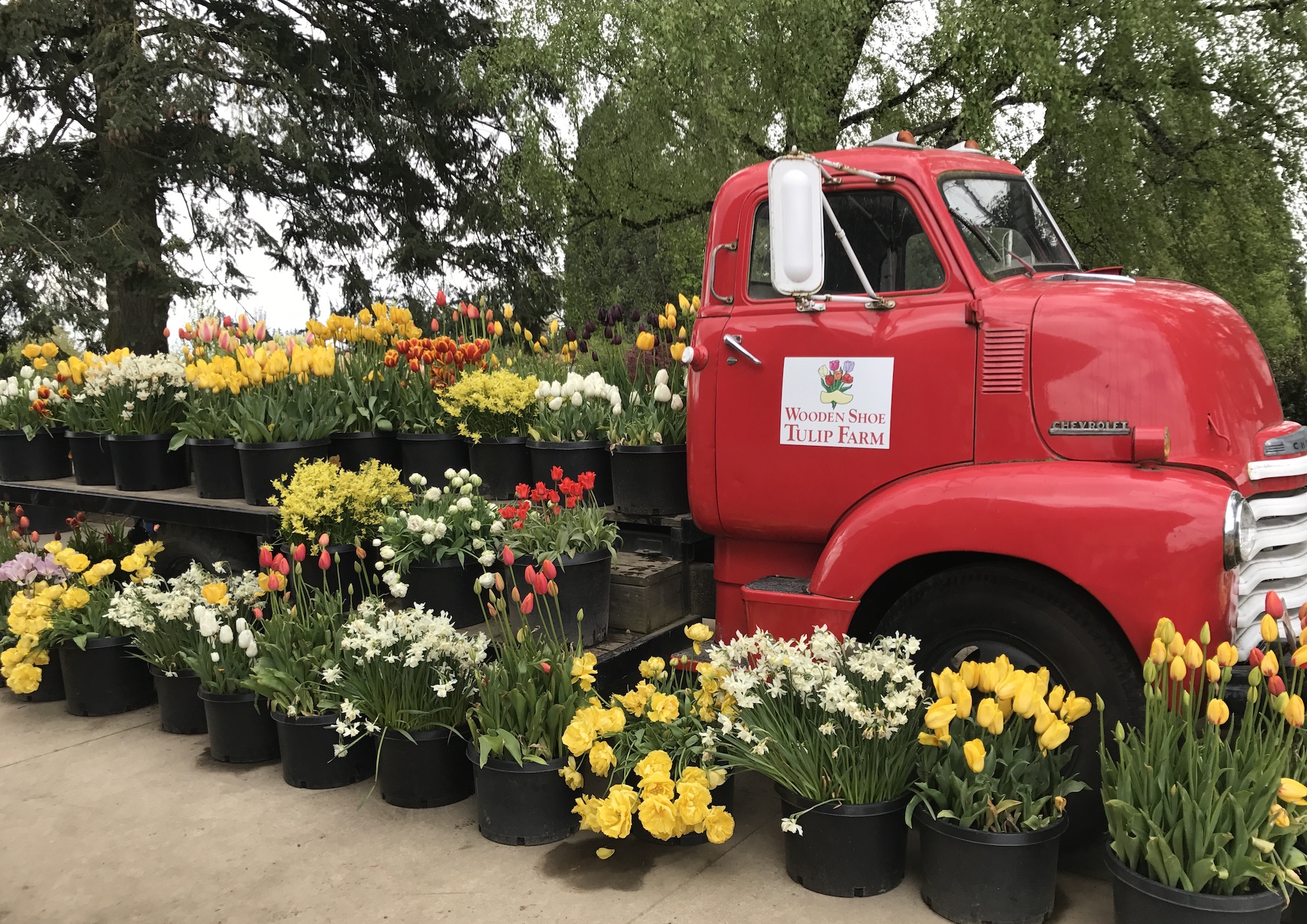 2017-04-27_12-23-20_786