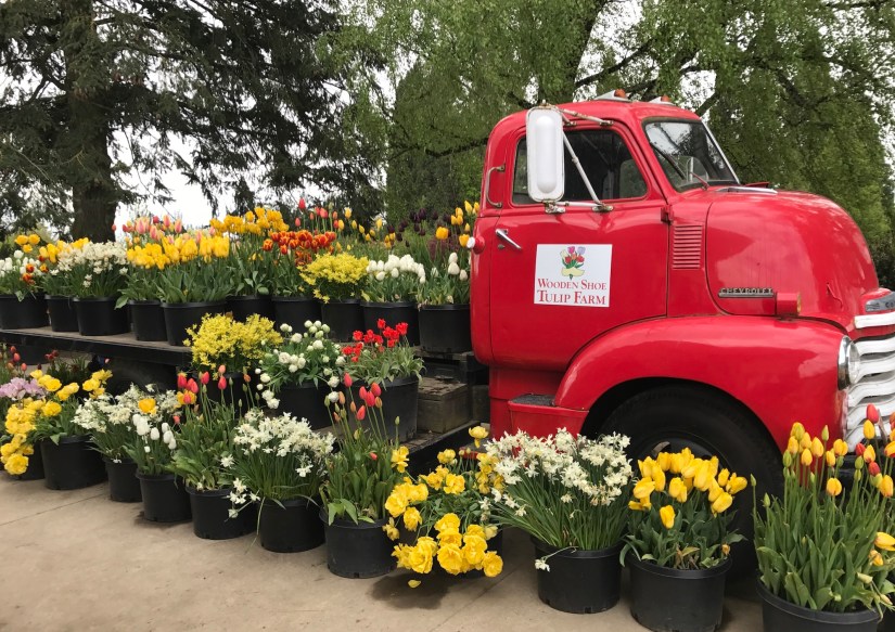 2017-04-27_12-23-20_786