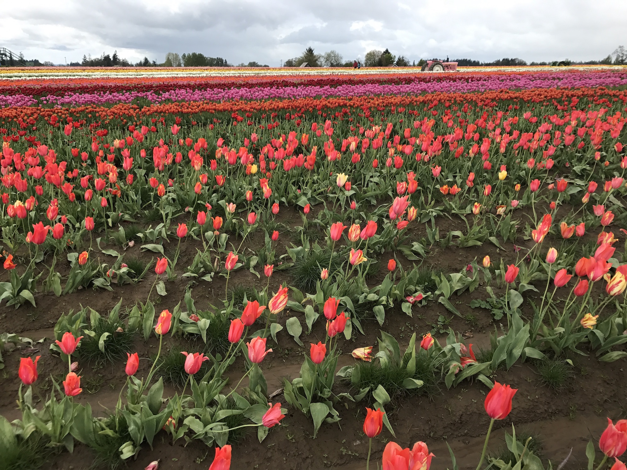 2017-04-27_12-42-21_569