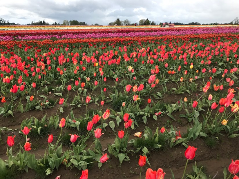 2017-04-27_12-42-21_569