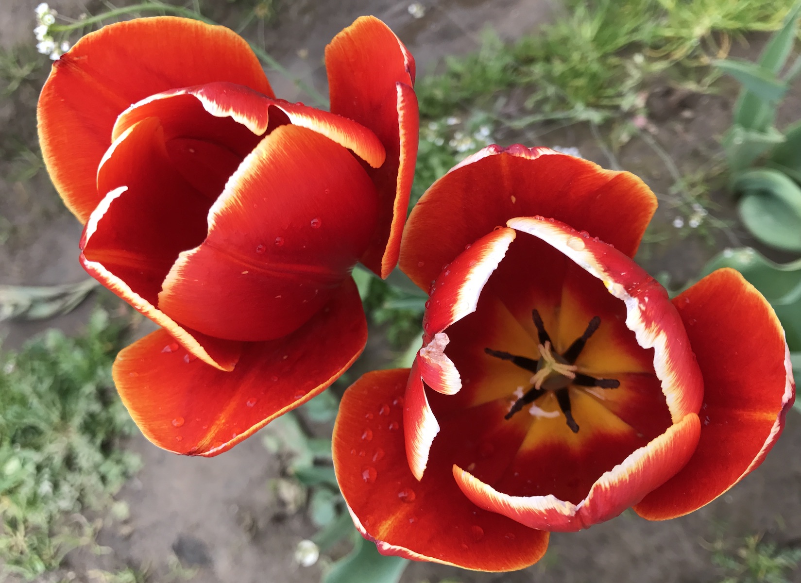 2017-04-27_12-47-15_735