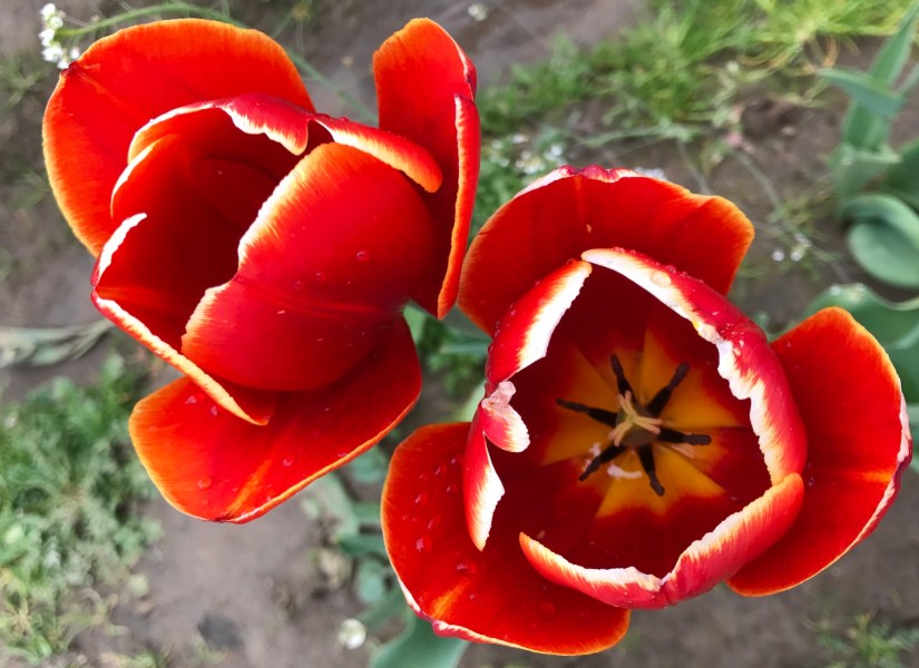 2017-04-27_12-47-15_735