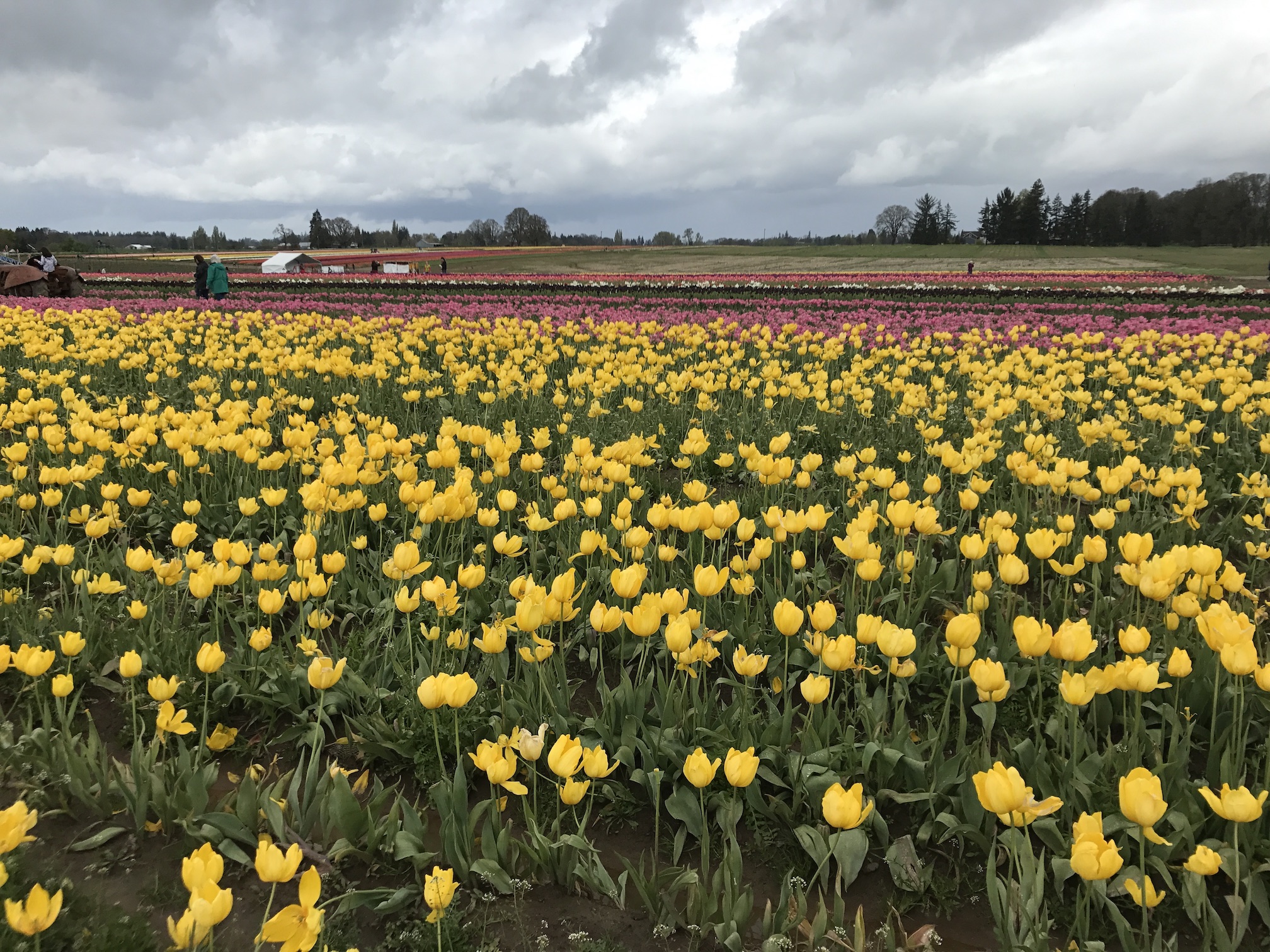 2017-04-27_12-54-21_426