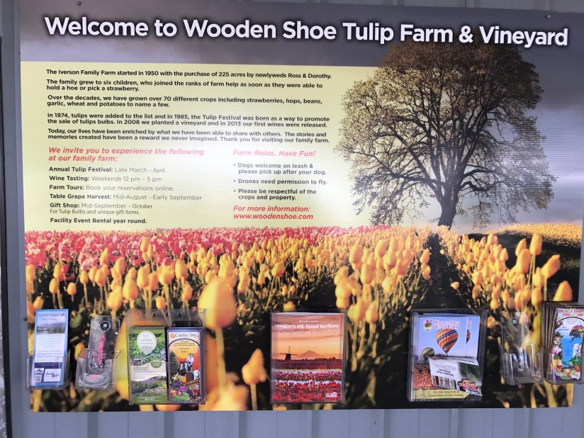 2017-04-27_13-09-03_659