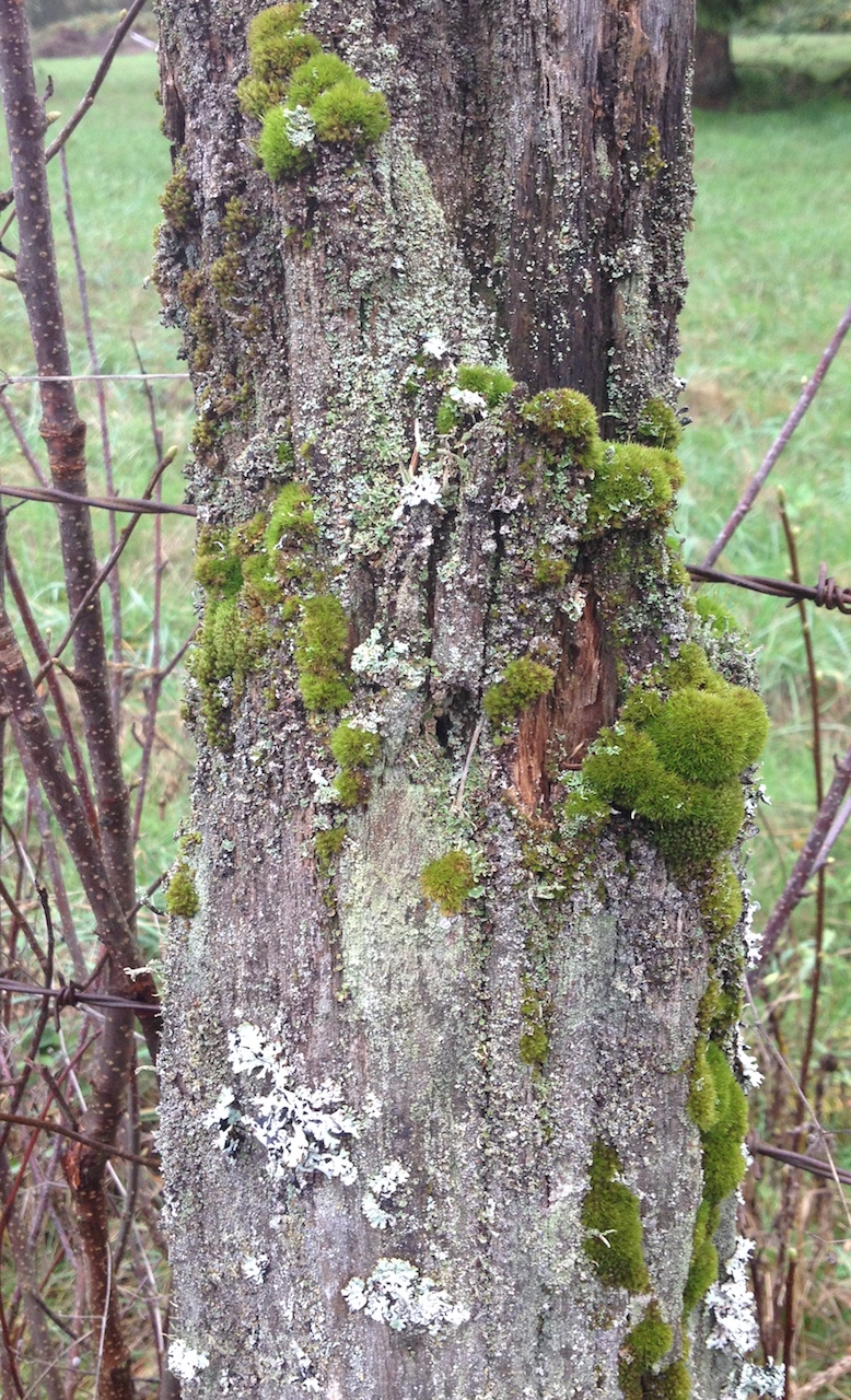 2016-10-29_11-10-14_580