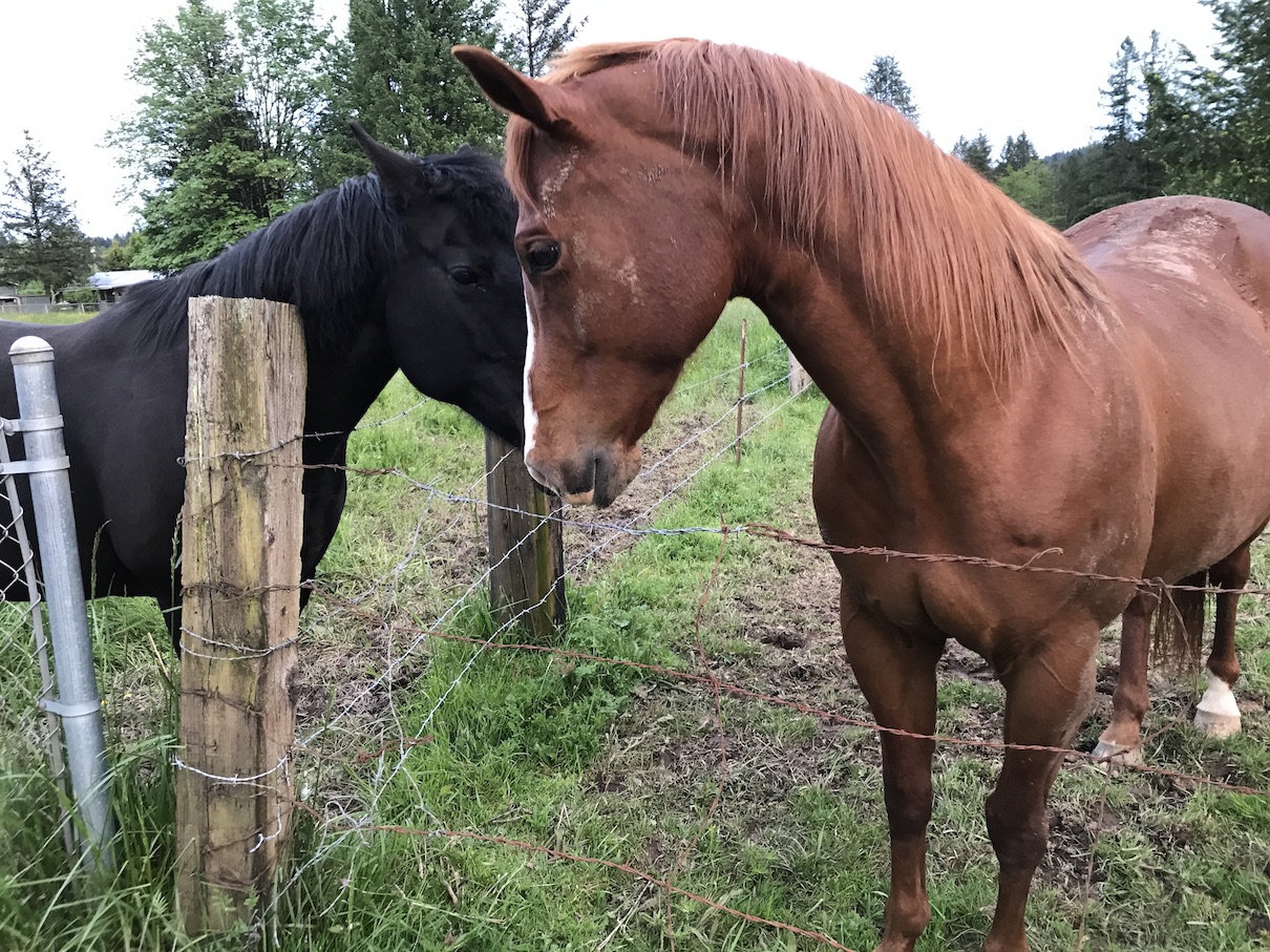 2017-05-18_20-28-10_908