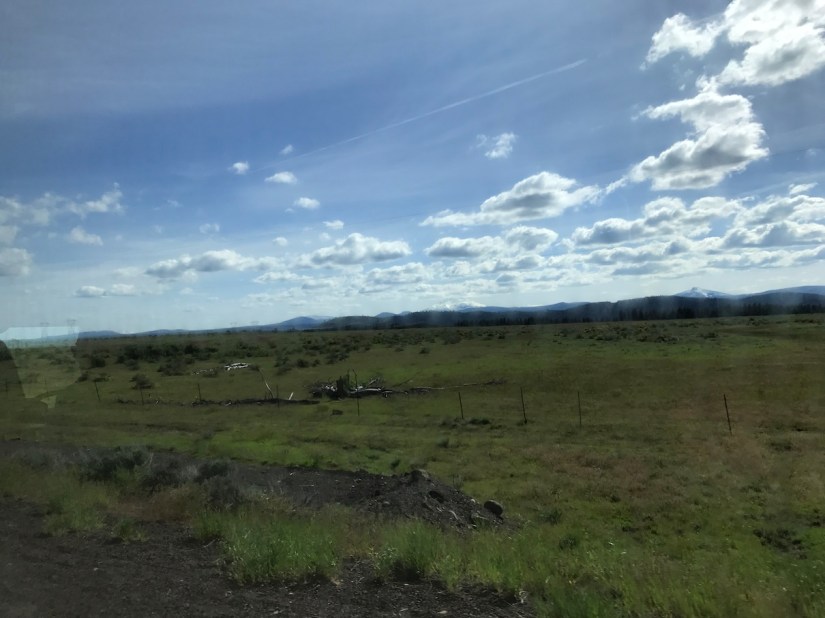 2017-05-21_16-25-06_945