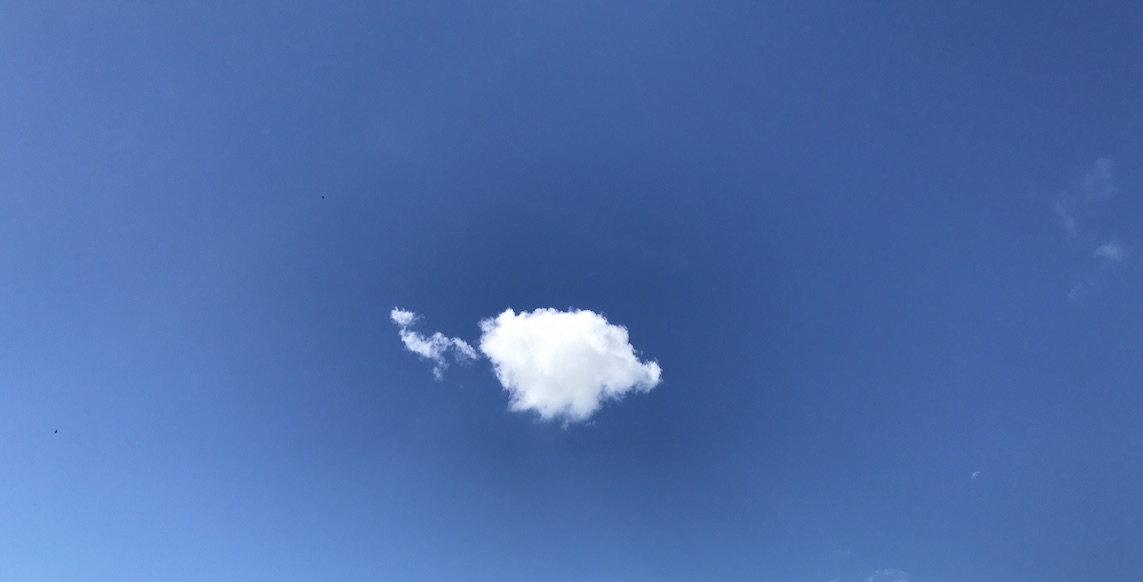 2017-05-19_11-01-26_178