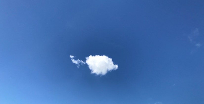 2017-05-19_11-01-26_178