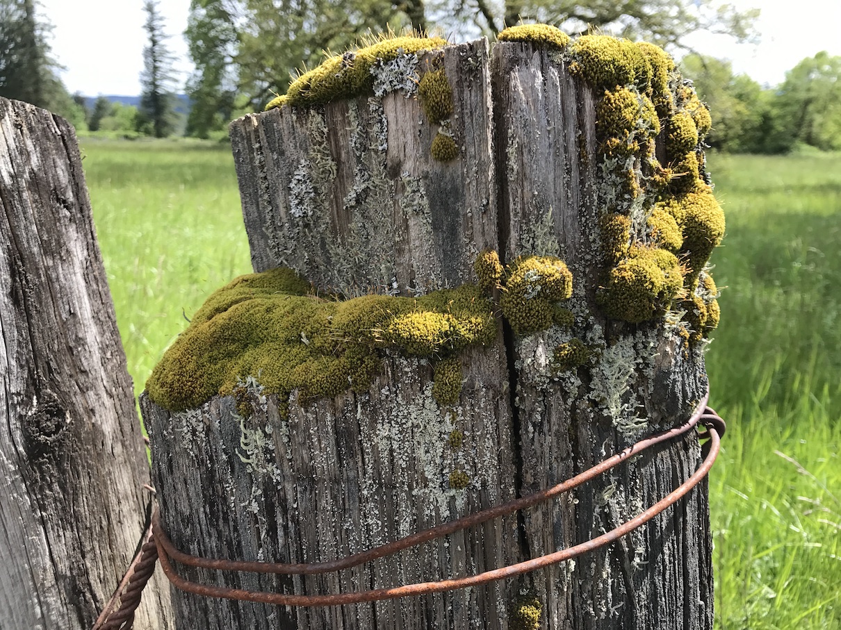 2017-05-19_11-10-03_170