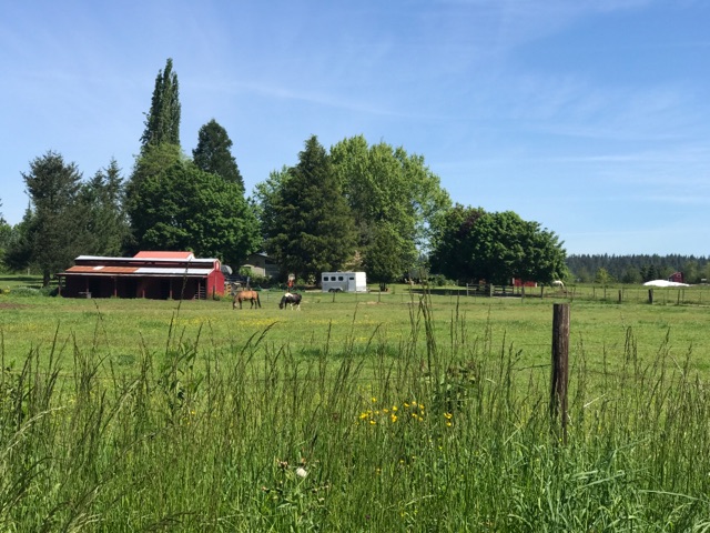 2017-05-21_10-39-25_056