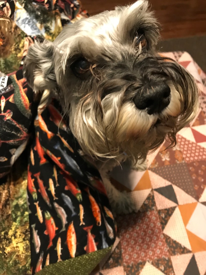 2017-06-14_18-45-03_648