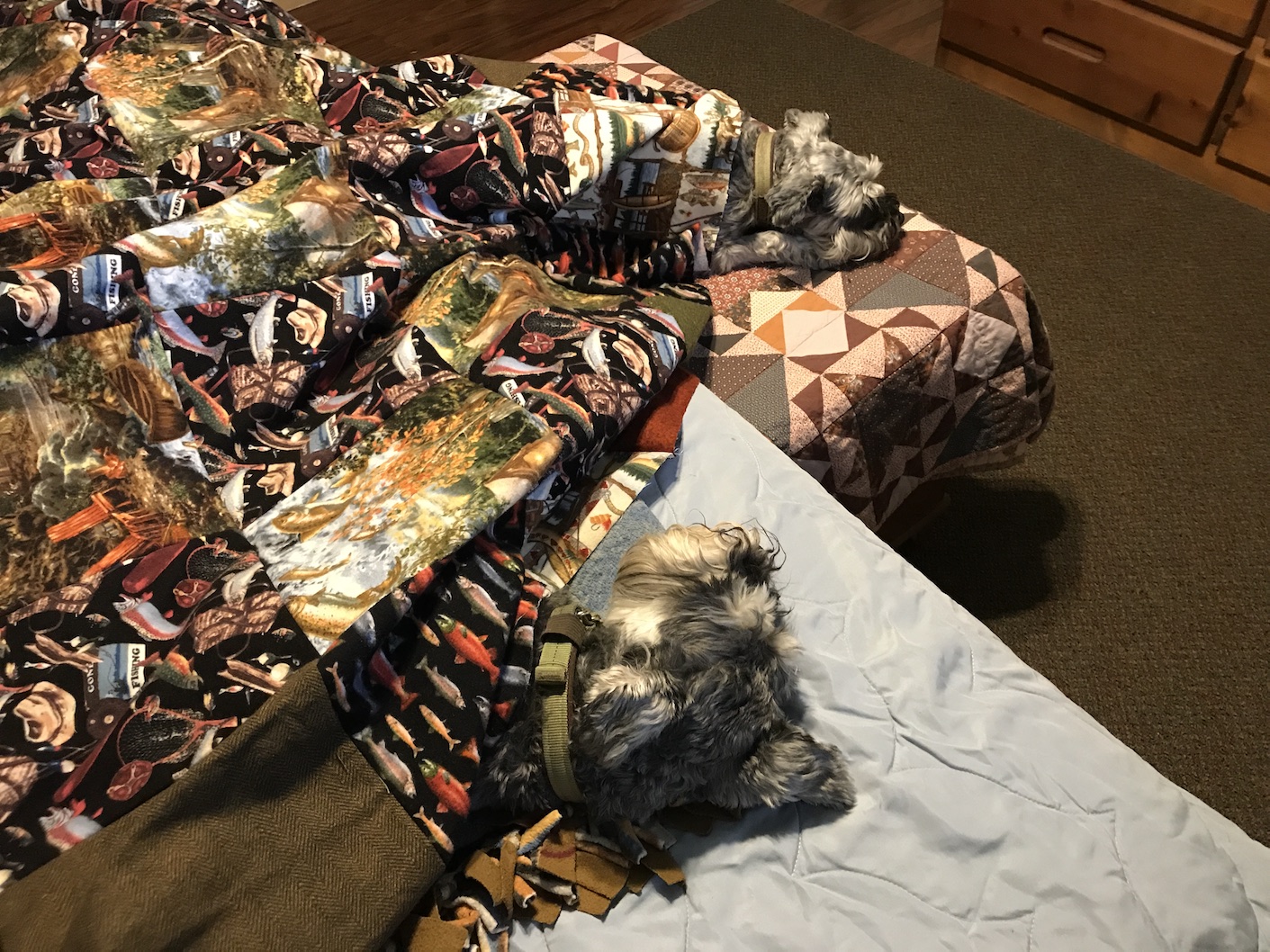 2017-06-14_18-45-27_831