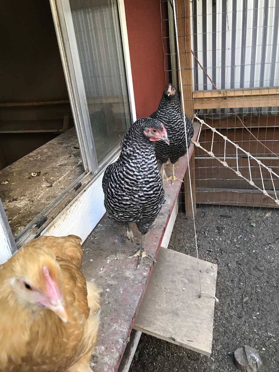 2017-07-13_16-45-08_976