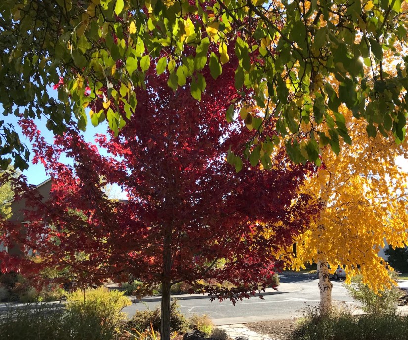 2017-10-07_10-01-55_093