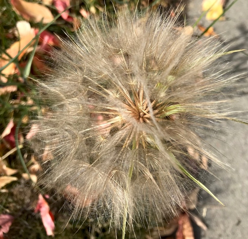 2017-10-09_11-18-03_946