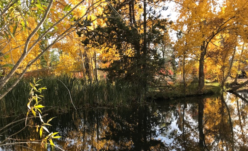 2017-10-09_15-40-35_842