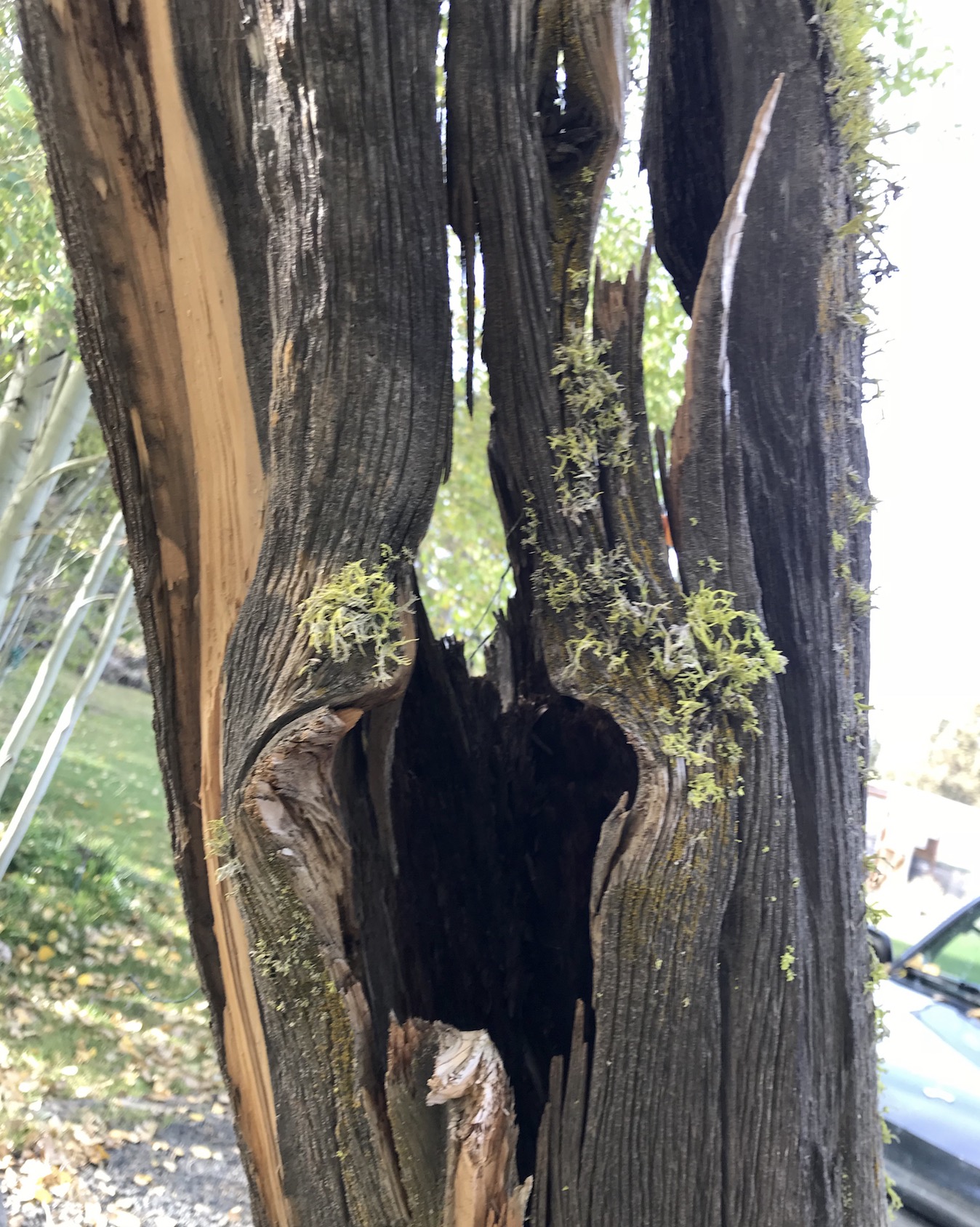 2017-10-09_15-41-14_749