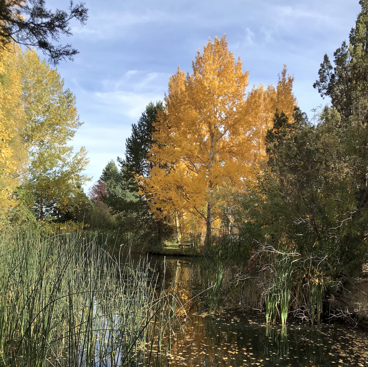 2017-10-09_15-42-49_235