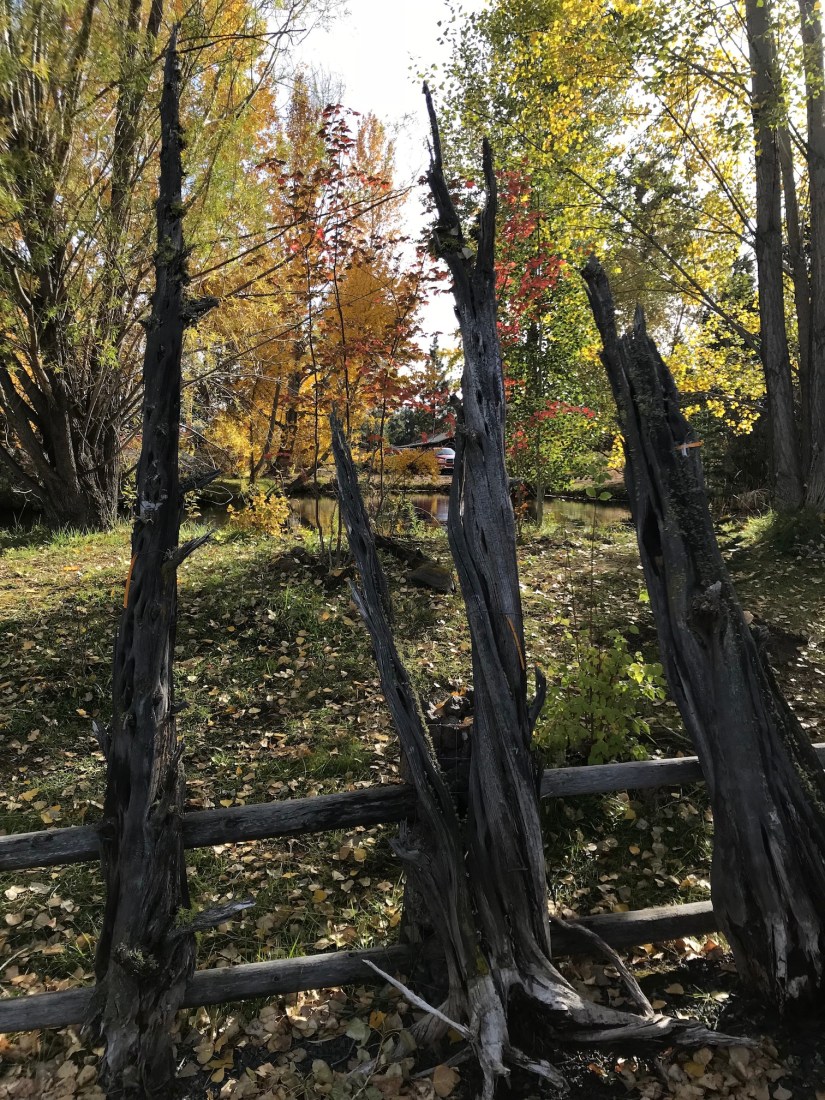 2017-10-09_15-43-34_710