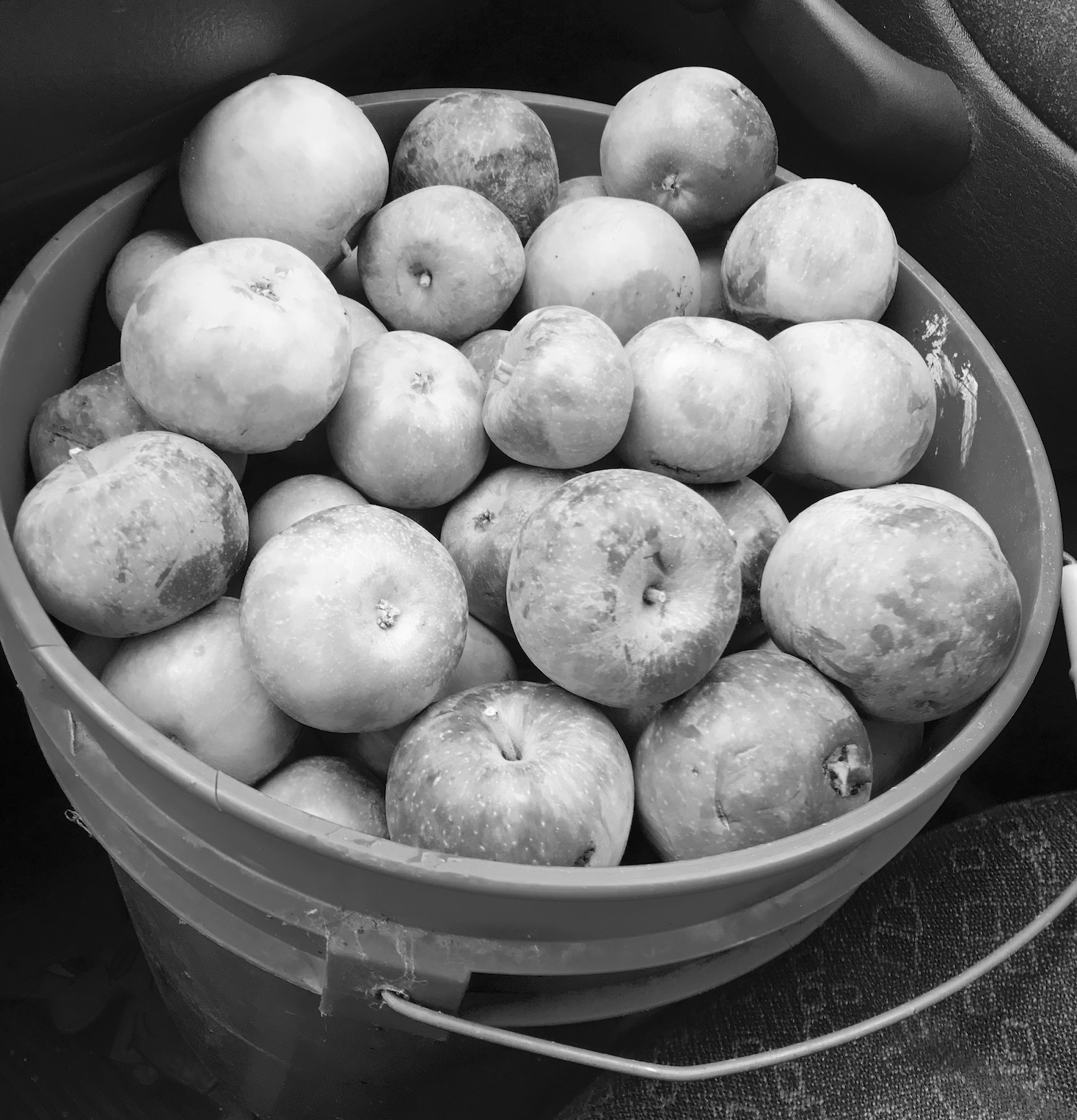 2017-10-21_14-46-04_936