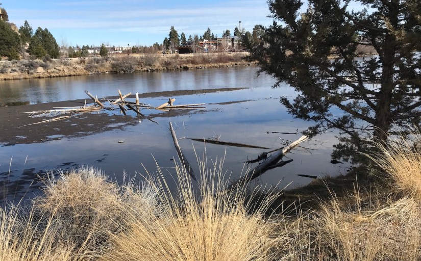 2018-02-05_11-01-04_735