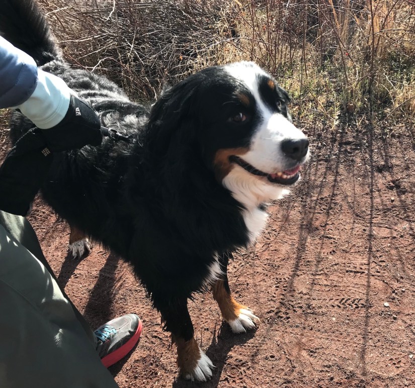 2018-02-05_11-13-04_353