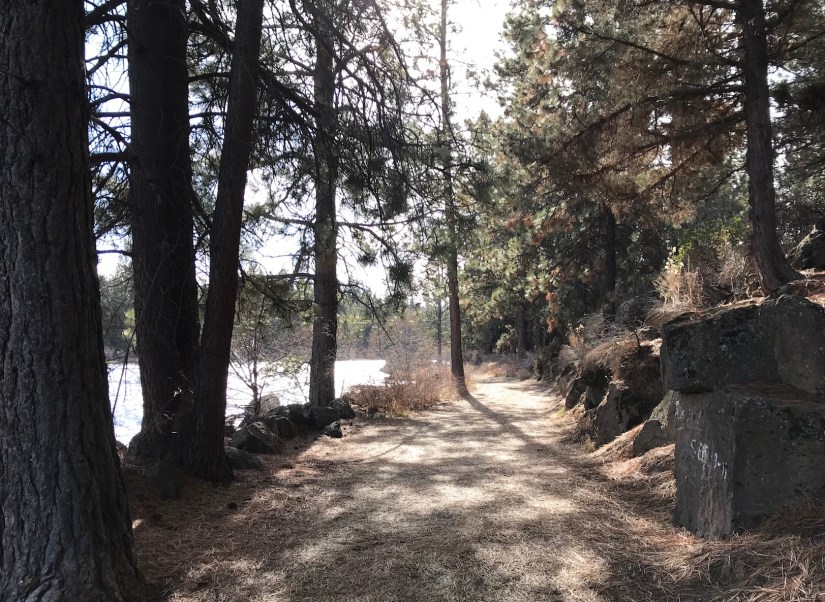 2018-02-05_11-19-59_799