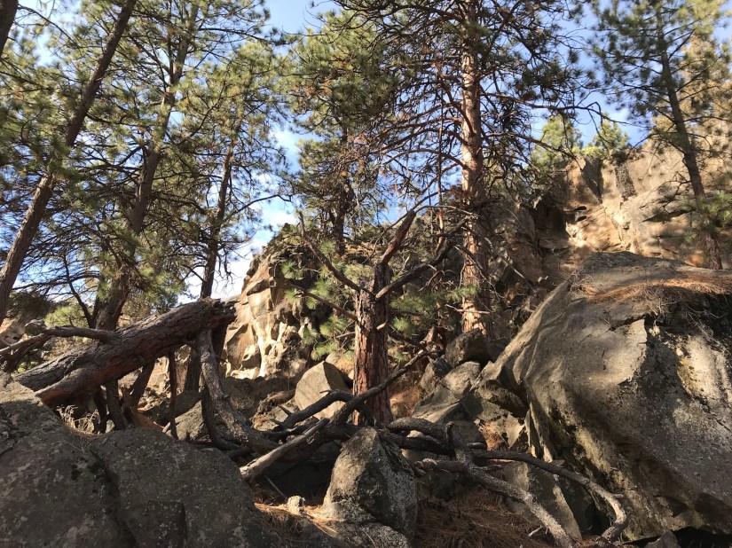 2018-02-05_11-39-36_315