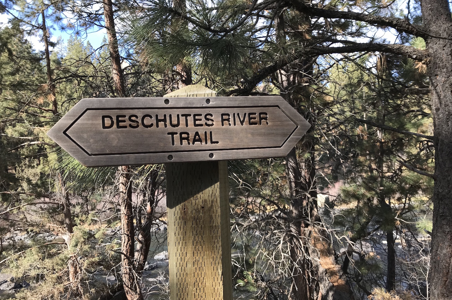 2018-02-05_11-46-38_505